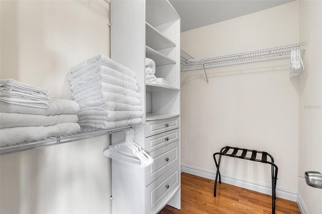 spacious closet with wood-type flooring