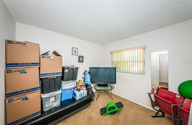 rec room with a textured ceiling and carpet