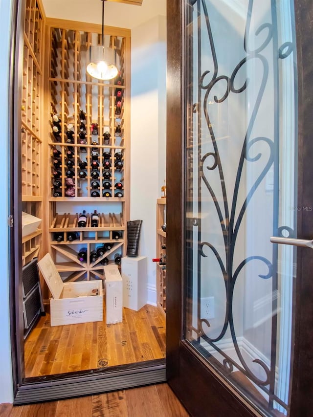 wine room with hardwood / wood-style floors