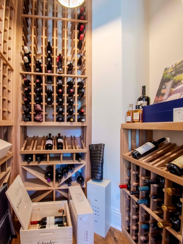 wine room with hardwood / wood-style floors