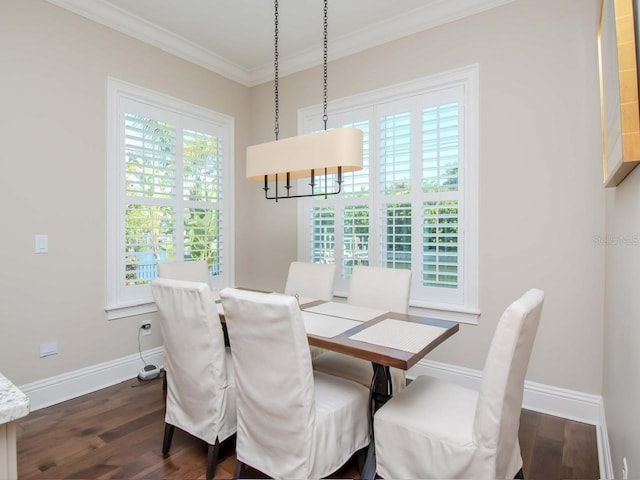 dining room featuring dark wood-type flooring and crown molding