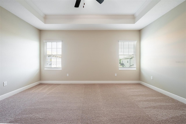 carpeted empty room with ceiling fan, a raised ceiling, and ornamental molding