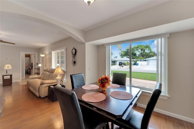 dining area with ceiling fan, light hardwood / wood-style floors, and a healthy amount of sunlight