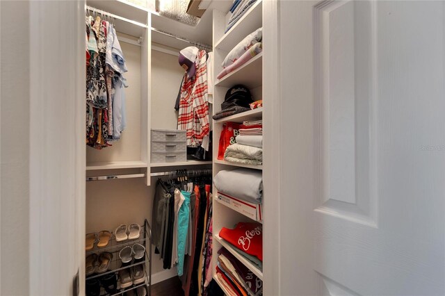 view of spacious closet