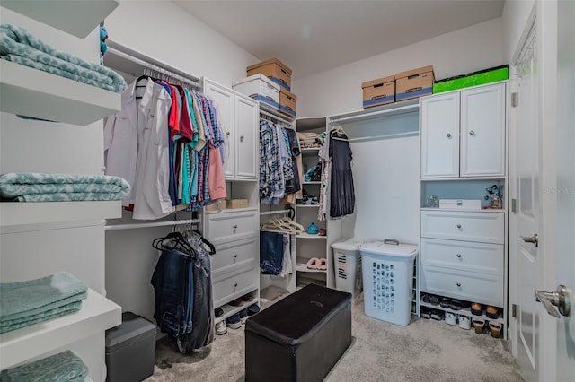 spacious closet with light carpet