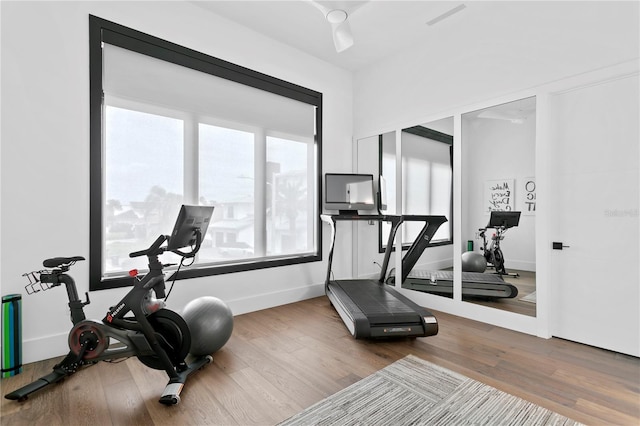 workout room with wood-type flooring