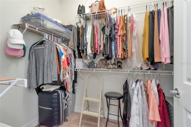 view of spacious closet