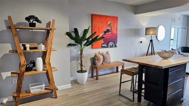 interior space featuring light hardwood / wood-style floors