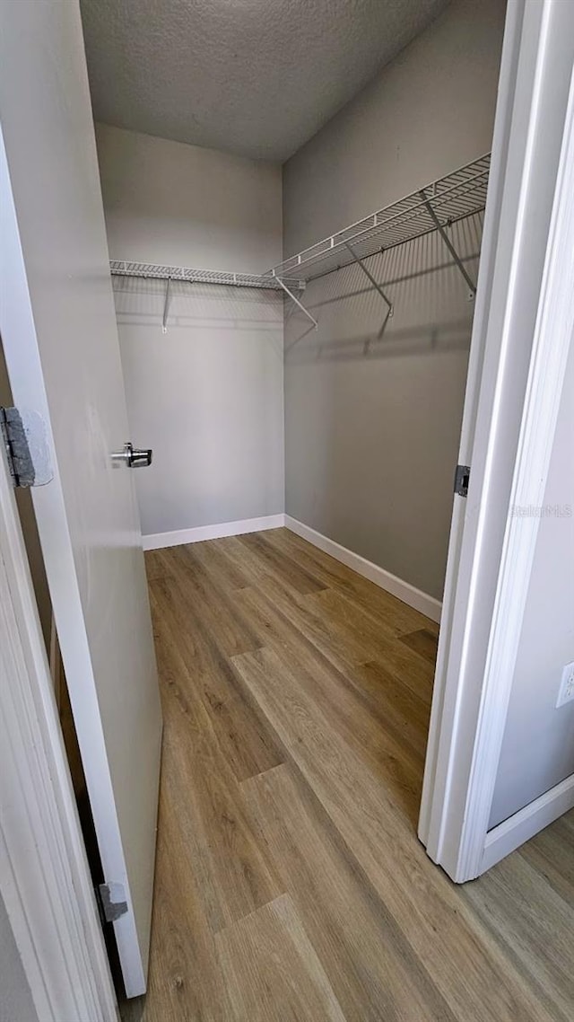 spacious closet featuring wood-type flooring