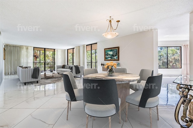 dining room with expansive windows, plenty of natural light, and a textured ceiling