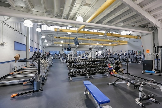 exercise room featuring a towering ceiling