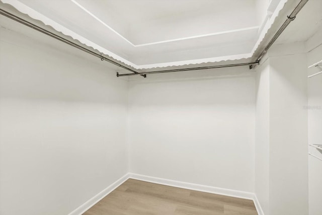 walk in closet featuring hardwood / wood-style flooring