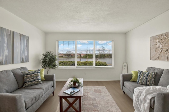 living room with light wood-type flooring and a textured ceiling