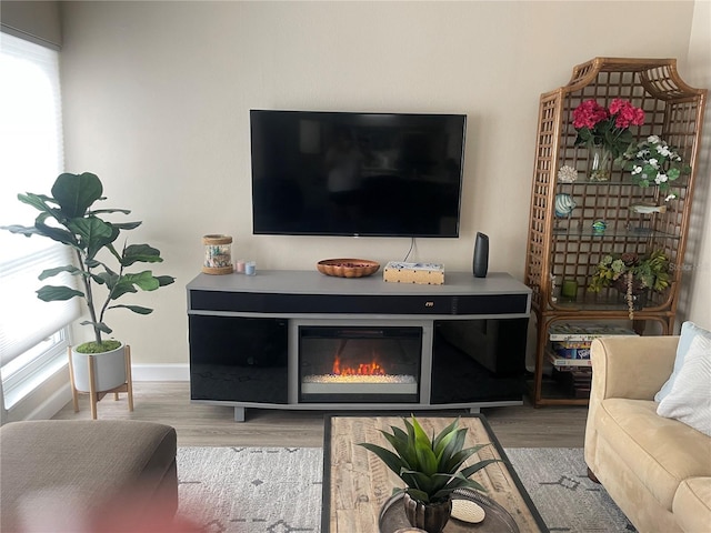 living room with hardwood / wood-style flooring