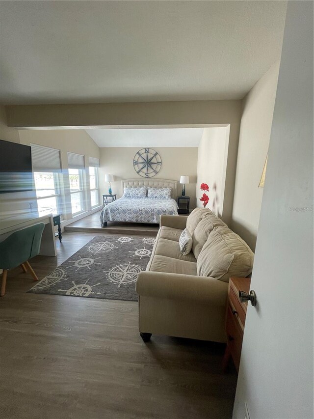 living room with vaulted ceiling and dark hardwood / wood-style floors