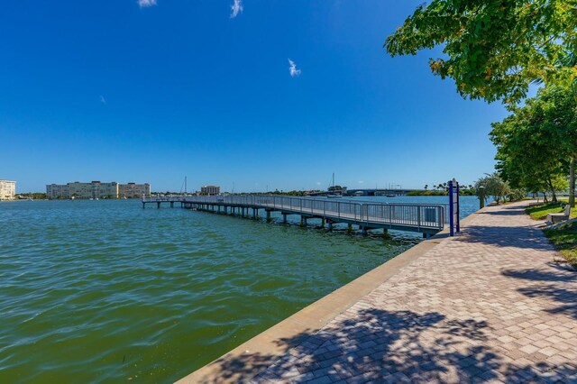 dock area with a water view