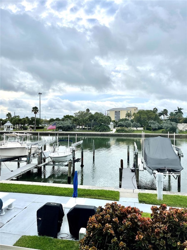 dock area with a water view