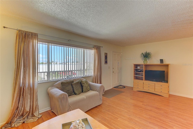 living room with a textured ceiling and hardwood / wood-style flooring