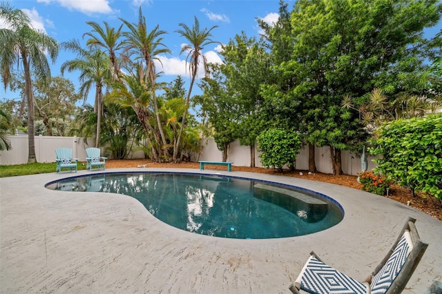 view of pool with a patio area