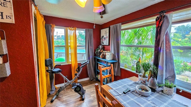 interior space featuring a wealth of natural light, light hardwood / wood-style floors, and ceiling fan