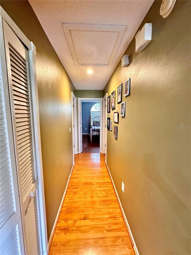 hall featuring light wood-type flooring