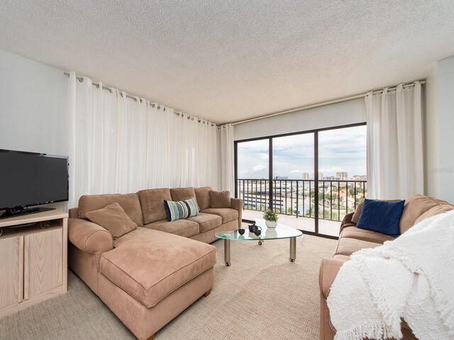 living room with light colored carpet and a textured ceiling