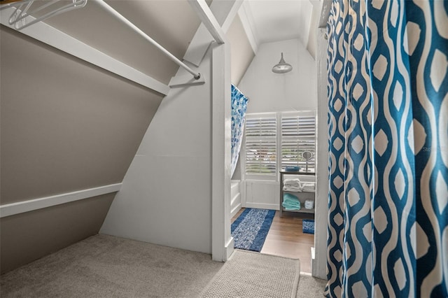 spacious closet with carpet and vaulted ceiling