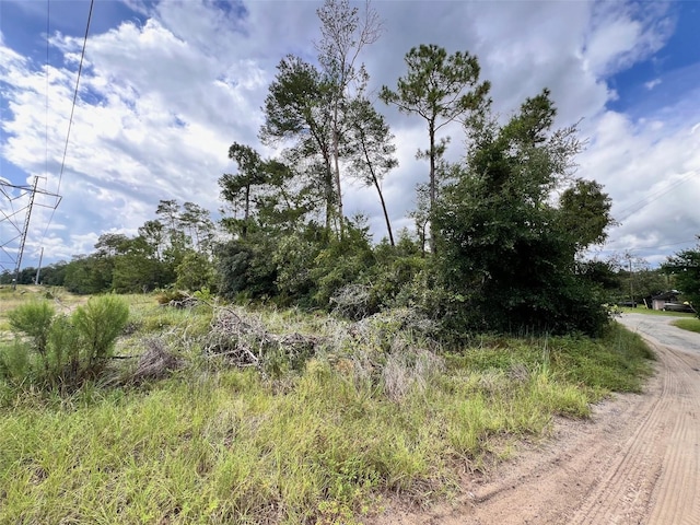 Listing photo 2 for LOT66 1st St, Altoona FL 32702