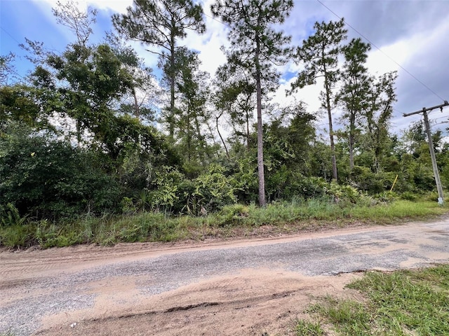 Listing photo 3 for LOT66 1st St, Altoona FL 32702