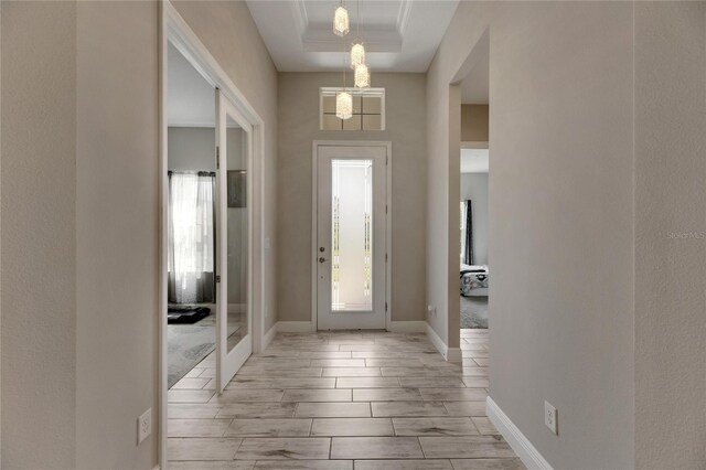 foyer entrance featuring a healthy amount of sunlight, a raised ceiling, and light hardwood / wood-style floors