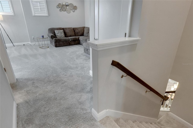 stairway with carpet floors