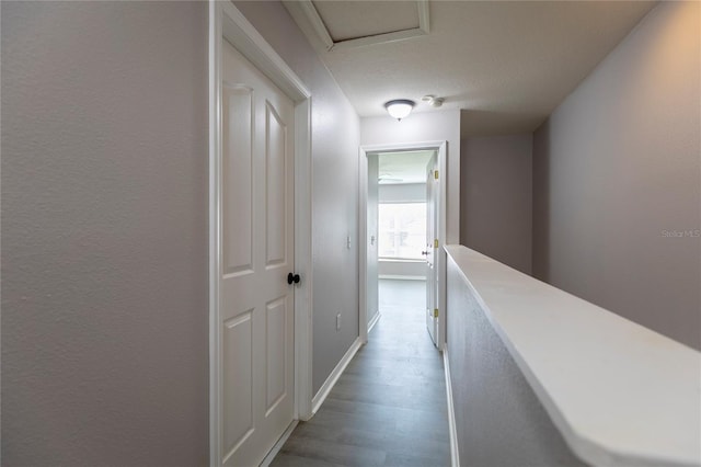 corridor with a textured ceiling and light hardwood / wood-style floors