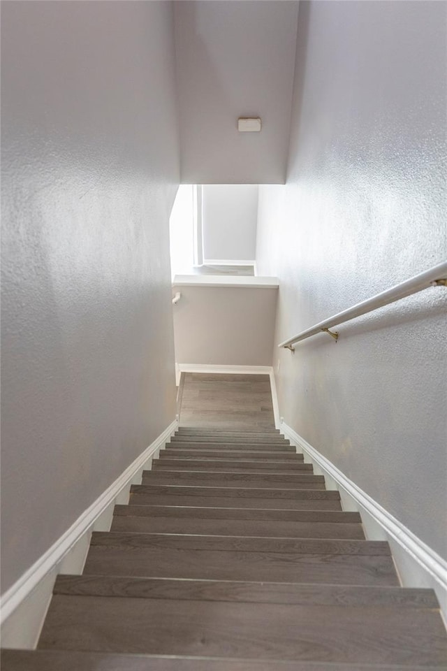 stairway with hardwood / wood-style flooring