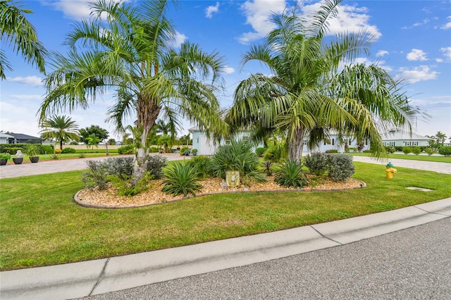 view of front of property featuring a front yard