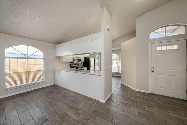 foyer entrance with dark hardwood / wood-style floors and plenty of natural light