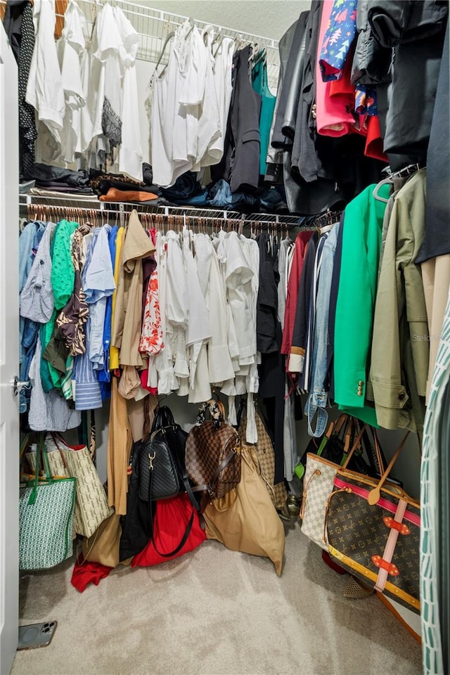 spacious closet with carpet