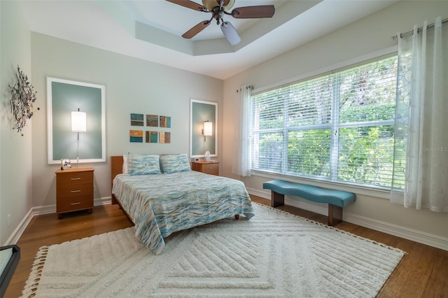 bedroom with a raised ceiling, ceiling fan, and dark hardwood / wood-style floors