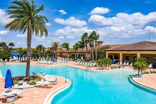 view of swimming pool featuring a patio area