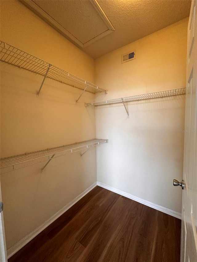 spacious closet featuring dark hardwood / wood-style floors