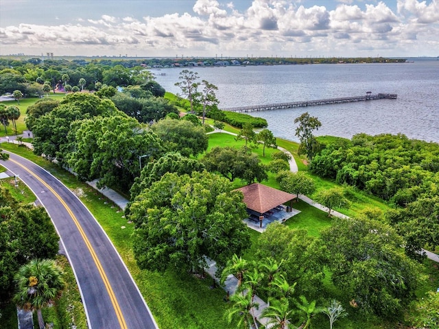 bird's eye view with a water view