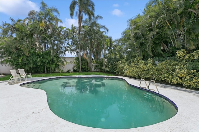 view of pool featuring a patio area