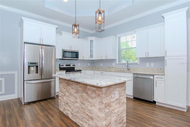 kitchen featuring dark wood-type flooring, a tray ceiling, stainless steel appliances, crown molding, and a sink