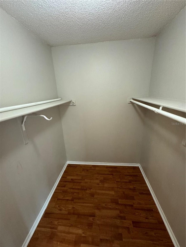 spacious closet featuring dark hardwood / wood-style floors