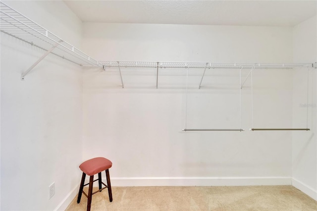 spacious closet with carpet flooring