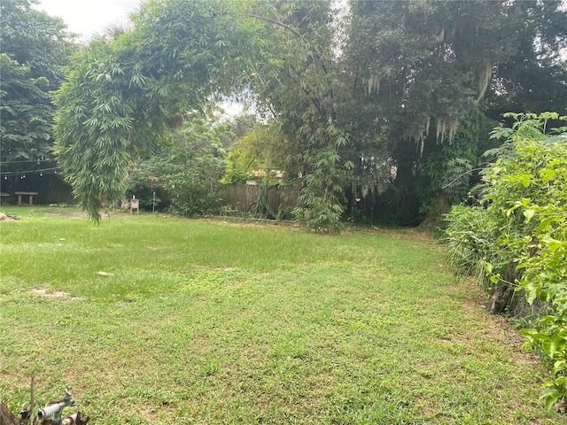 118 5th Jpv St, Winter Haven, FL 33880 - view of yard featuring fence