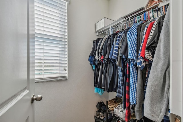 view of spacious closet