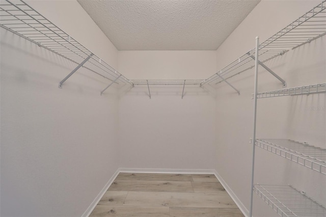 spacious closet featuring light wood-type flooring