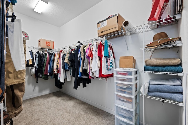 spacious closet with carpet flooring