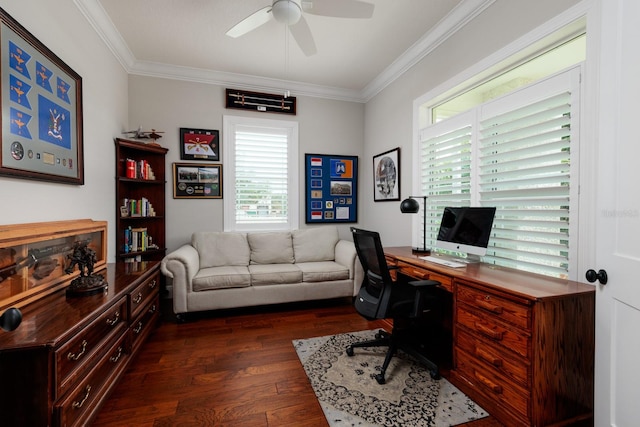 home office with ceiling fan, a healthy amount of sunlight, crown molding, and dark hardwood / wood-style floors