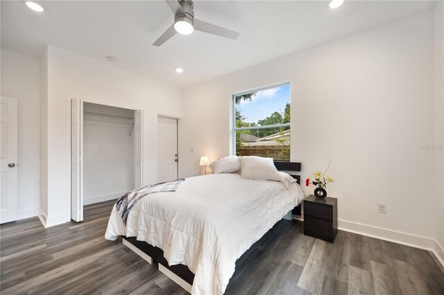 bedroom with ceiling fan, a closet, and dark hardwood / wood-style floors